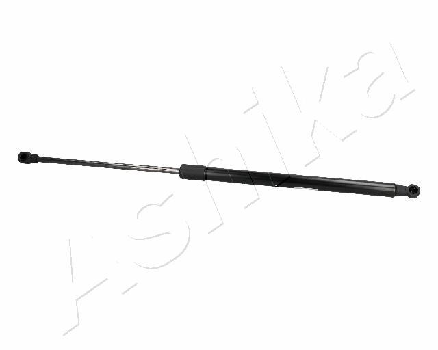 ZSA06098