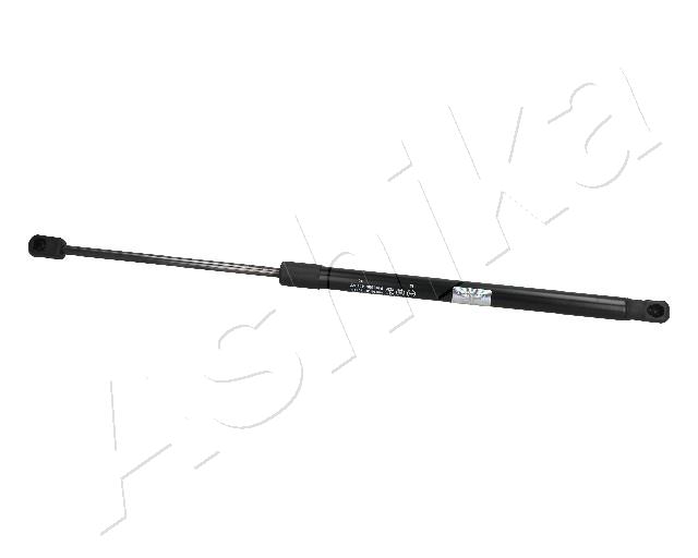 ZSA10023