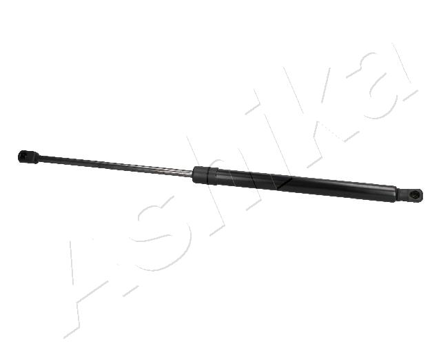 ZSA03021