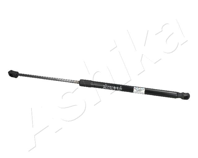 ZSA09065