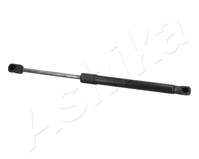 ZSA05021