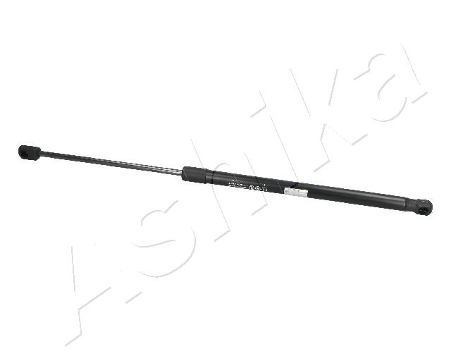 ZSA09063