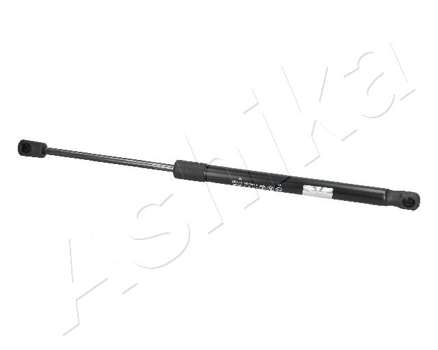 ZSA09066