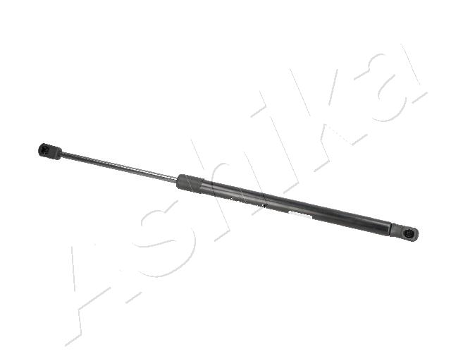 ZSA09130