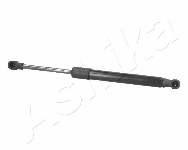 ZSA01076