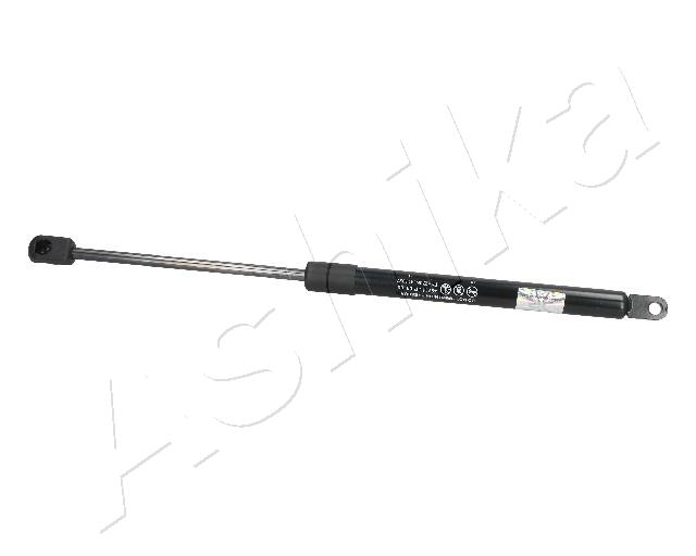 ZSA09105