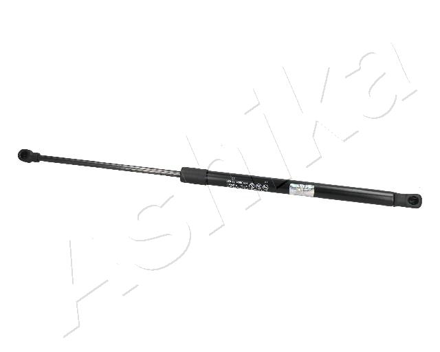 ZSA09069