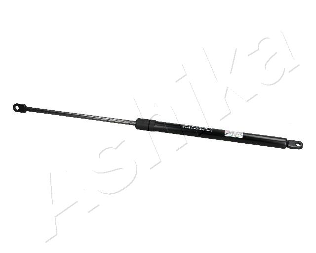 ZSA04063