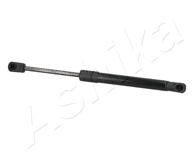 ZSA09110