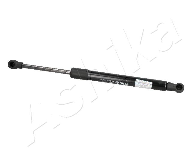 ZSA09185