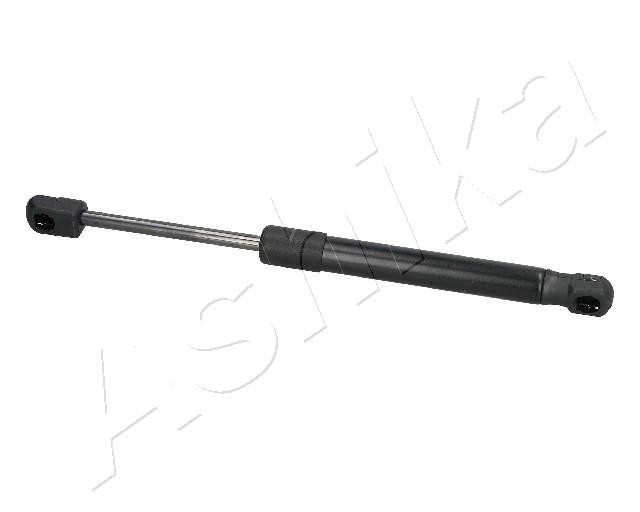ZSA09025