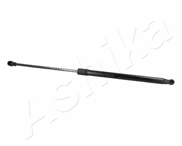 ZSA06060