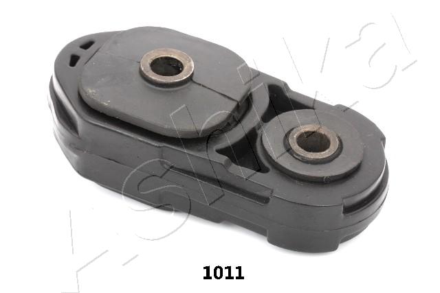 GOM-1011
