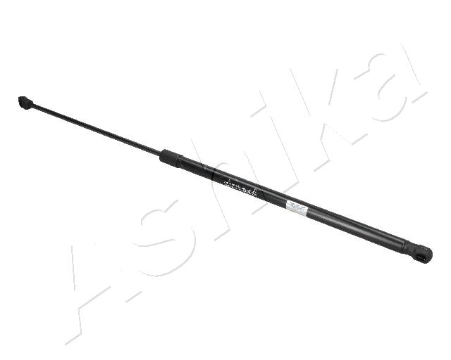 ZSA09019