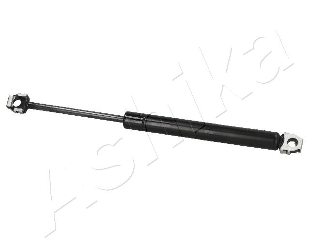 ZSA01018