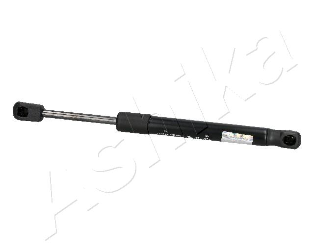 ZSA04033