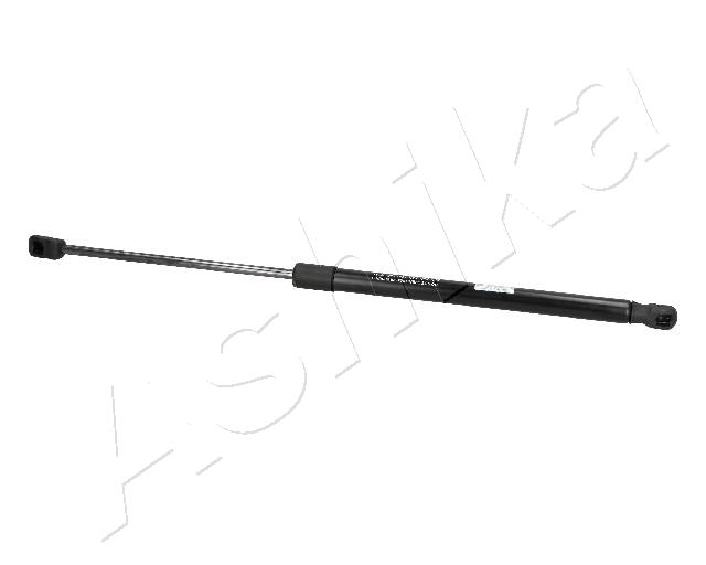 ZSA09153