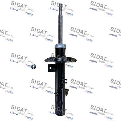 F210G1559
