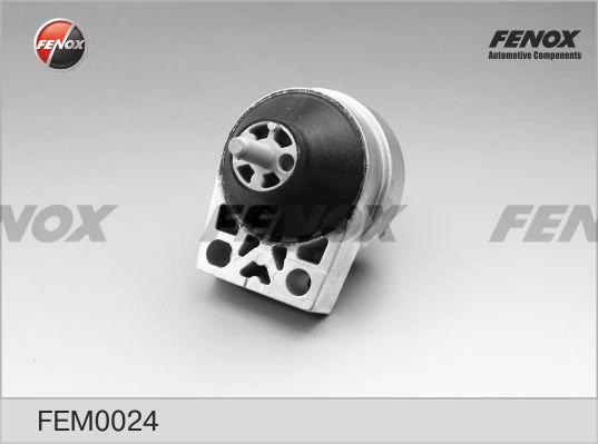 FEM0024