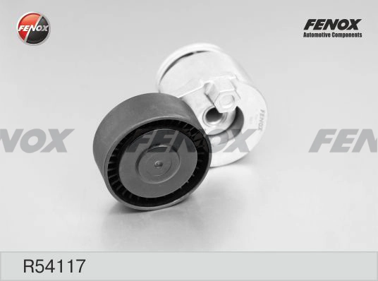R54117