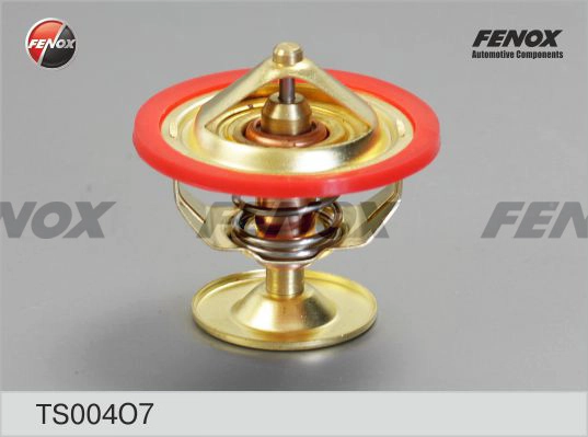 TS004O7