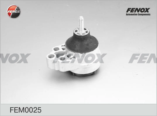 FEM0025