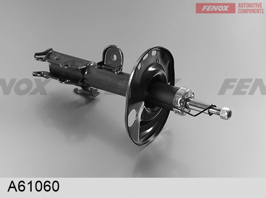A61060