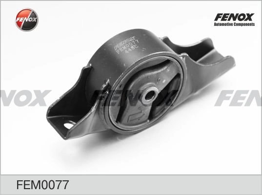 FEM0077