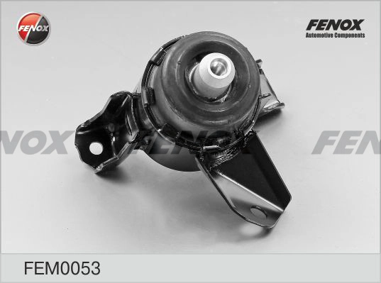 FEM0053