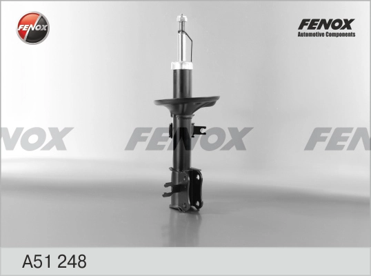 A51248