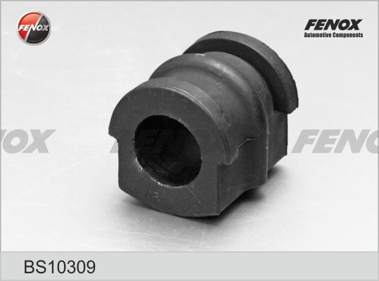 BS10309