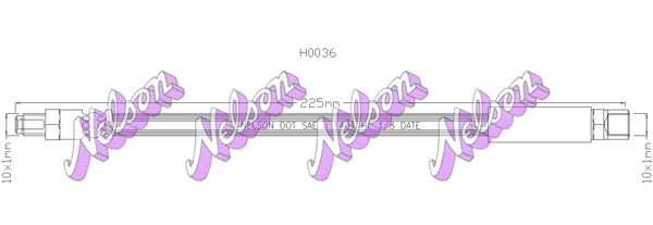 H0036
