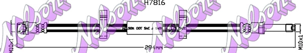 H7816
