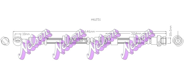 H6251