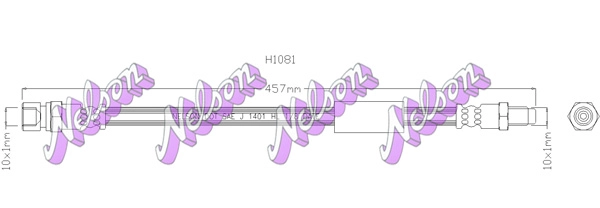 H1081