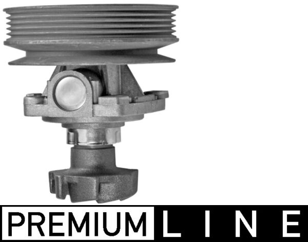 CP 251 000P