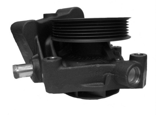 CP 559 000S