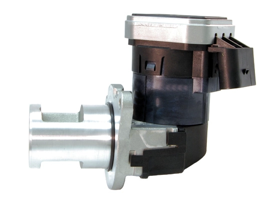 EGR022