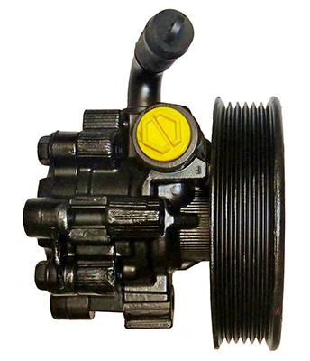 48 19 561