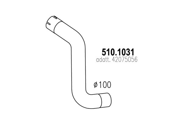 42075056