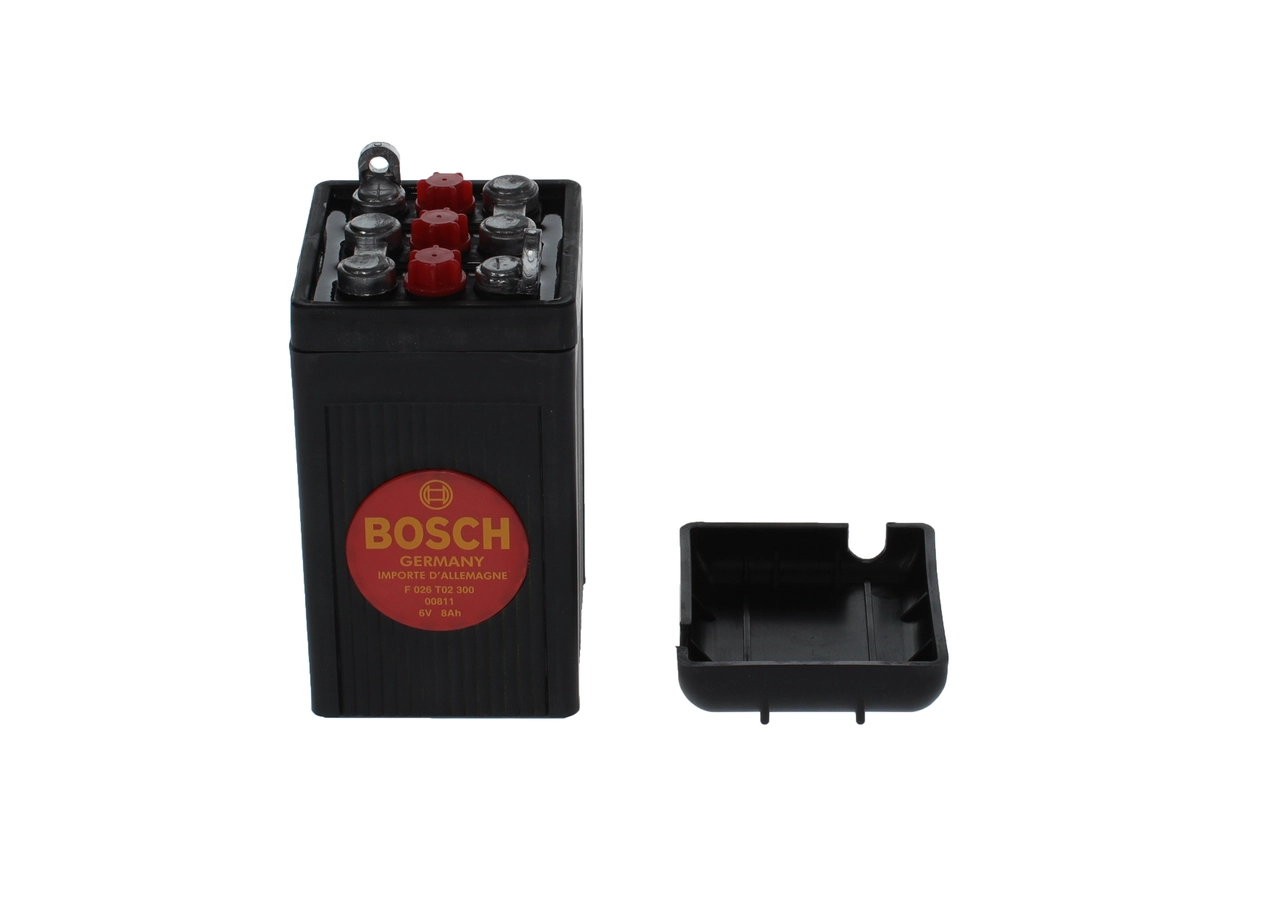 BOSCH F 026 T02 300