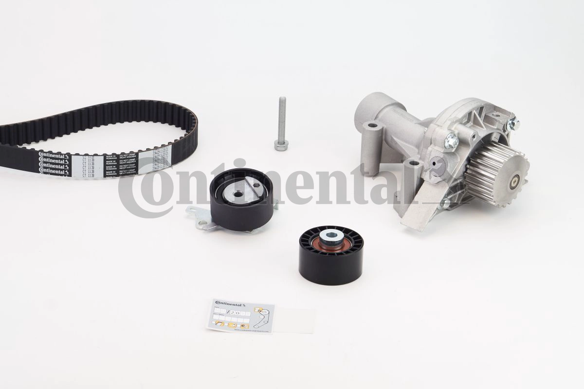CT1138WP1