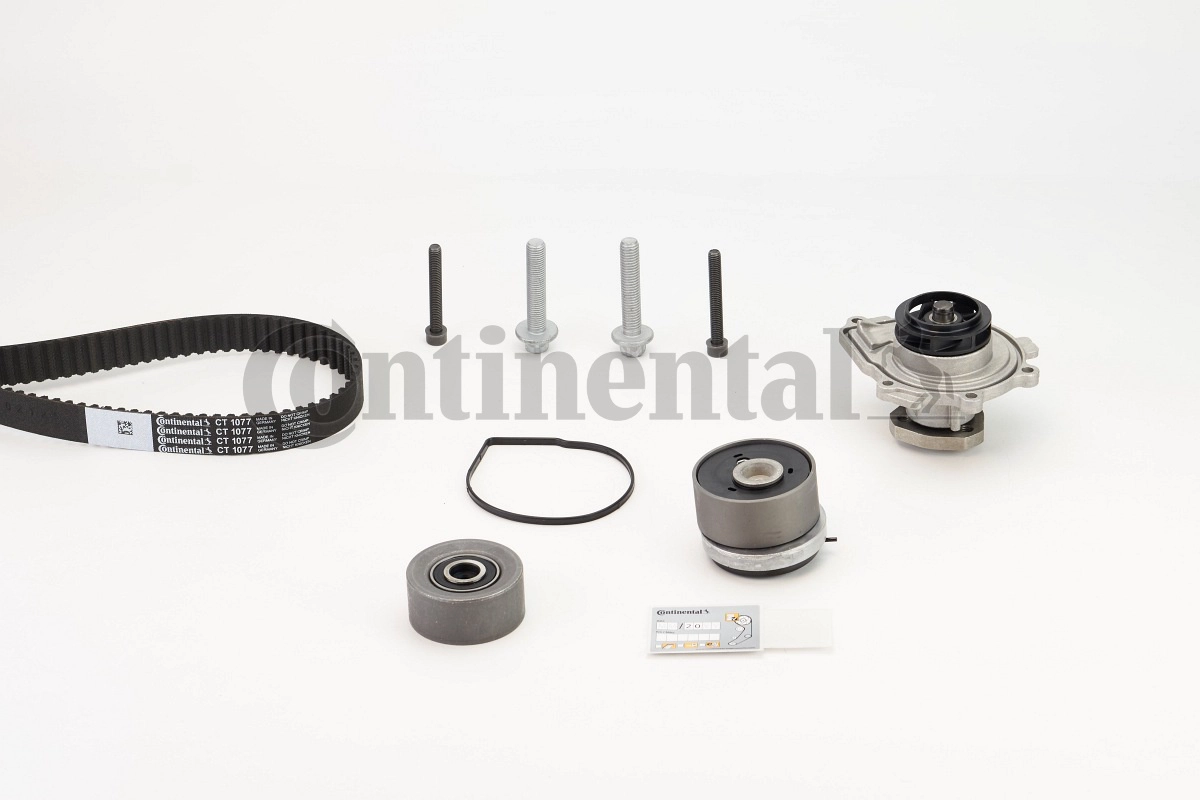 CT1077WP2