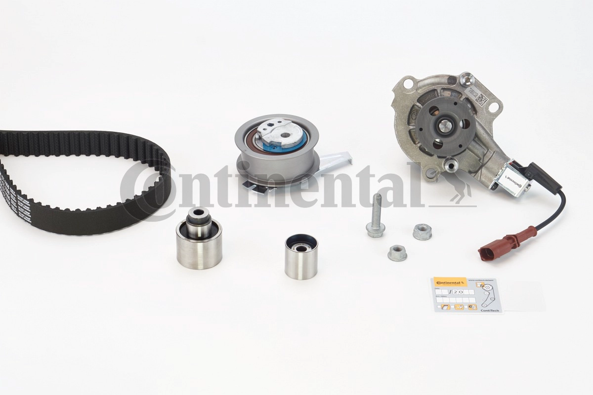 CT1168WP1