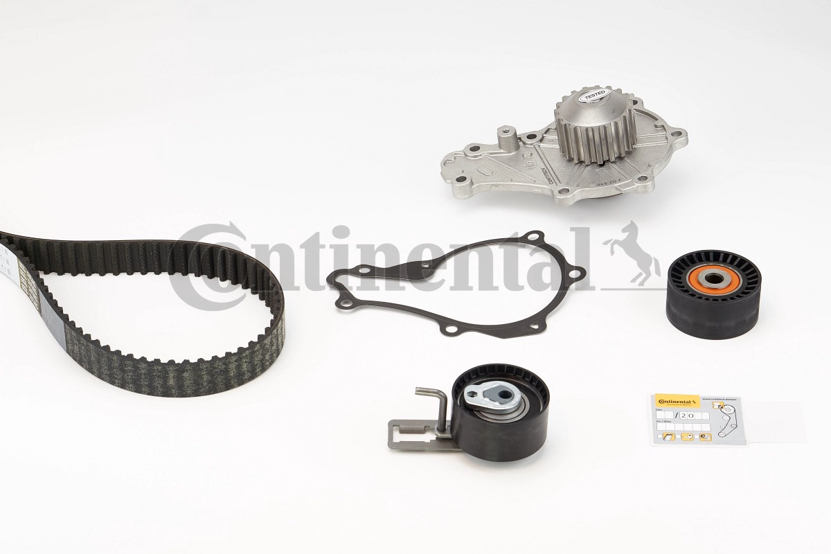 CT1162WP2