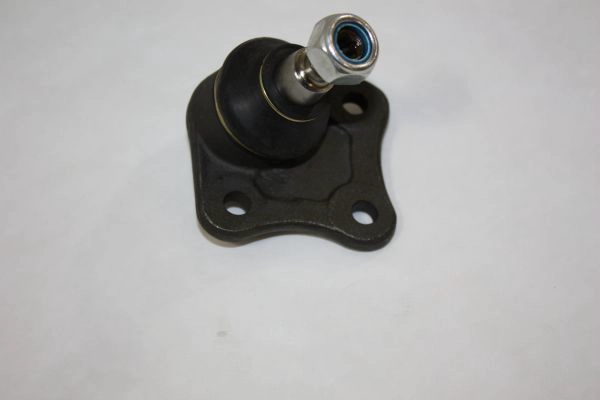1J0407366CS1