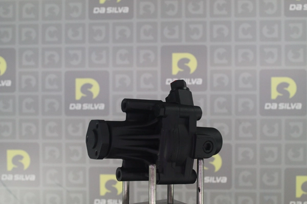 DP2561
