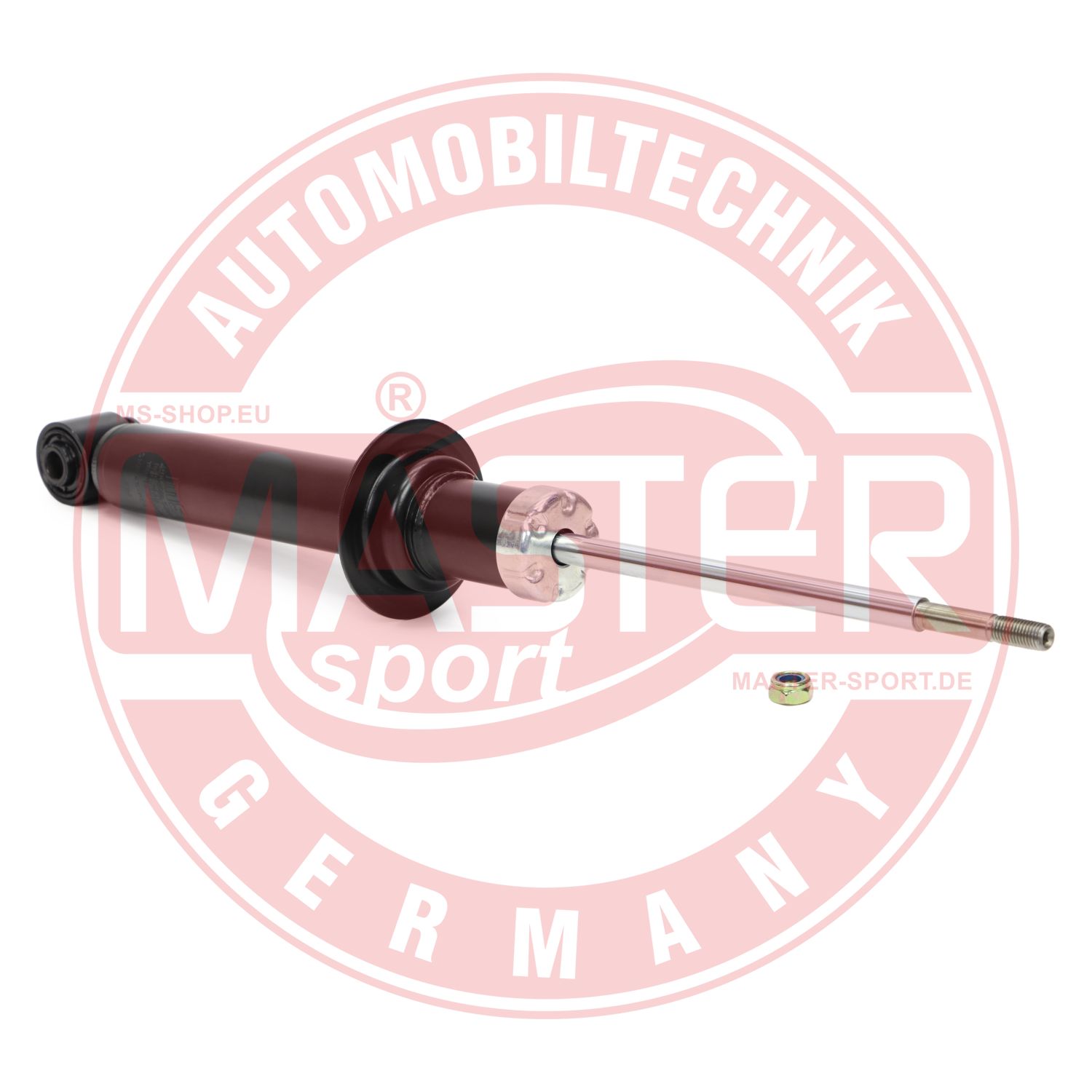 310245-PCS-MS