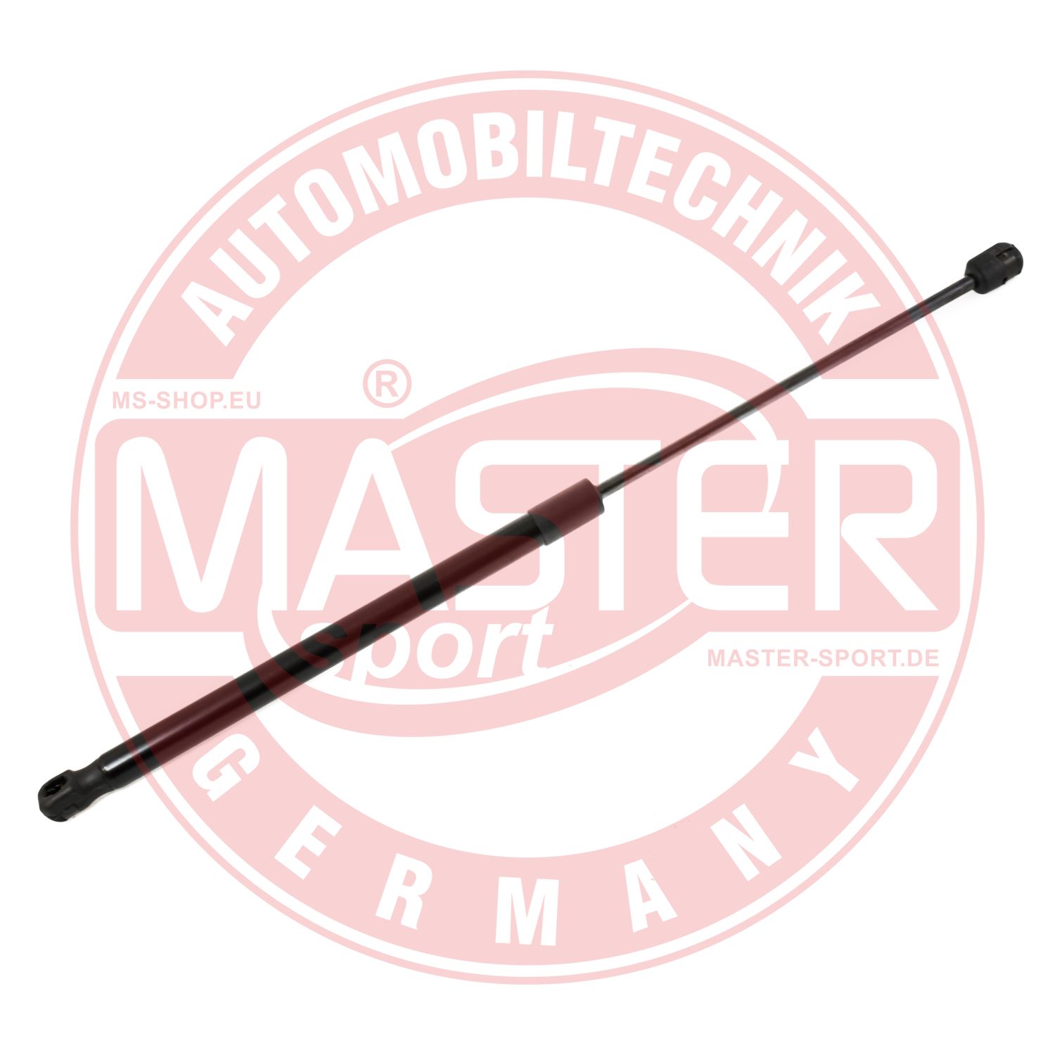 6308024-PCS-MS