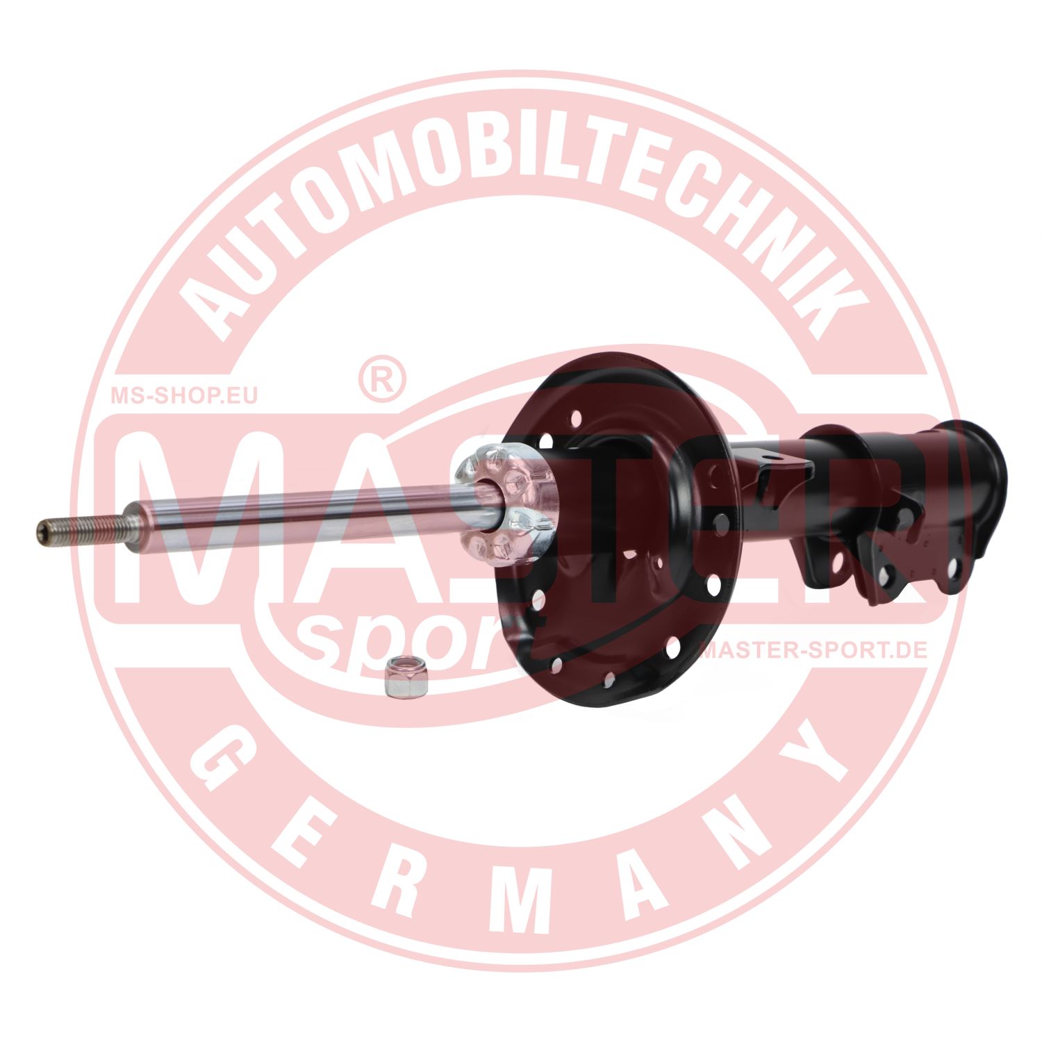 313552-PCS-MS